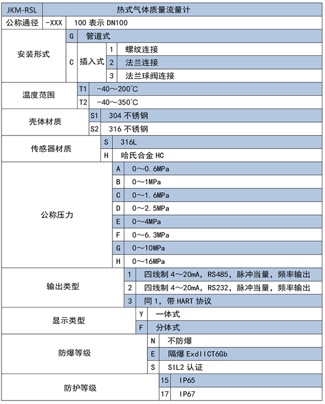 管段式熱式氣體質量流量計選項表